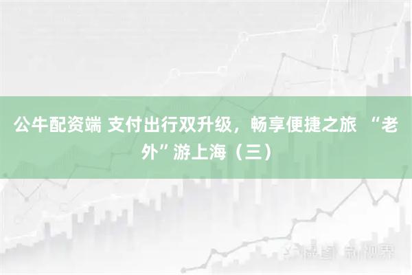 公牛配资端 支付出行双升级，畅享便捷之旅  “老外”游上海（三）