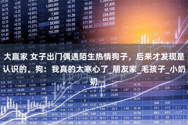 大赢家 女子出门偶遇陌生热情狗子,后来才发现是认识的。狗:我真的太寒心了_朋友家_毛孩子_小奶