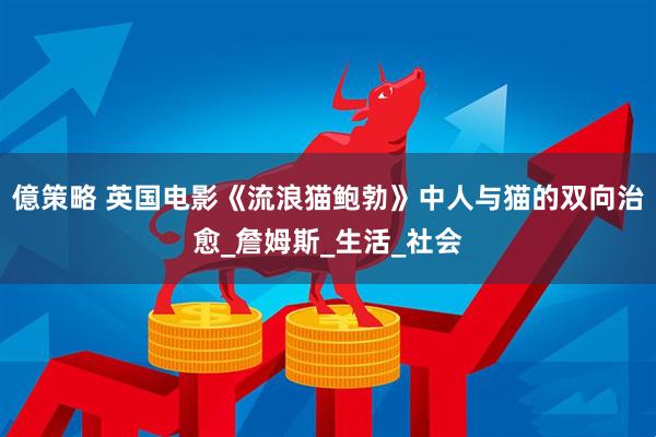 億策略 英国电影《流浪猫鲍勃》中人与猫的双向治愈_詹姆斯_生活_社会