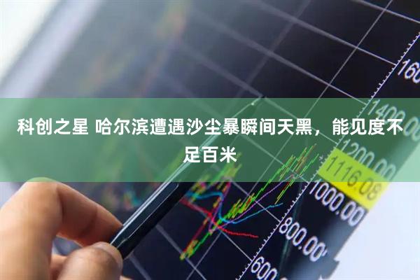 科创之星 哈尔滨遭遇沙尘暴瞬间天黑，能见度不足百米