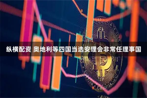 纵横配资 奥地利等四国当选安理会非常任理事国