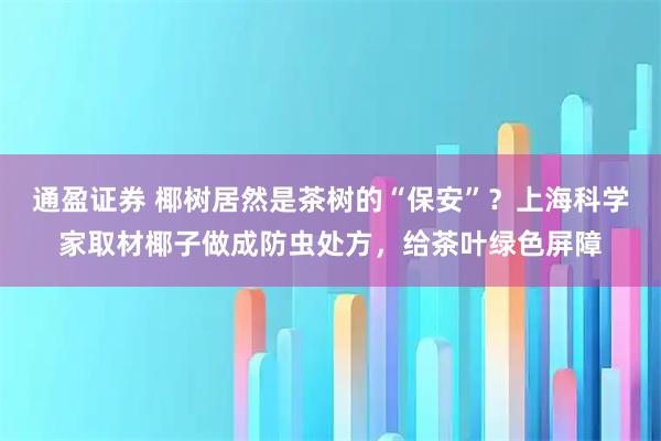 通盈证券 椰树居然是茶树的“保安”？上海科学家取材椰子做成防虫处方，给茶叶绿色屏障